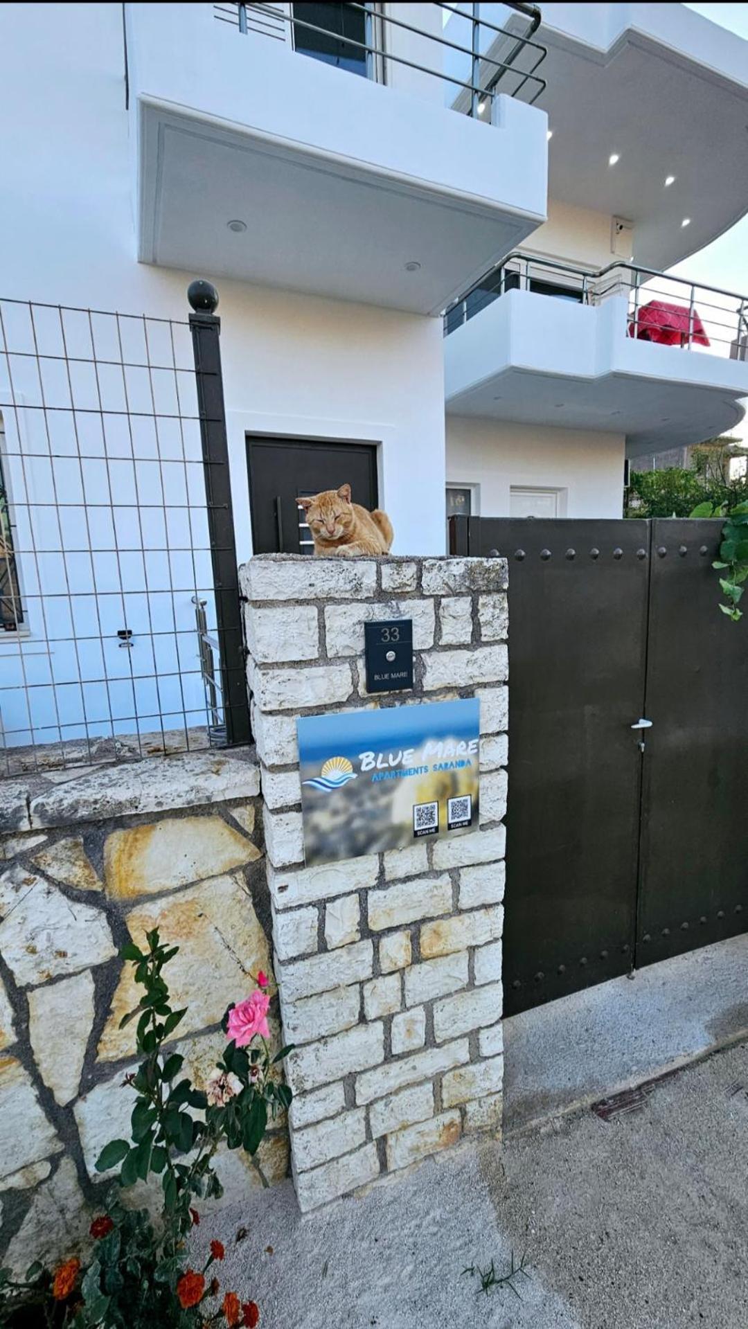 Blue Mare Apartments Saranda Dış mekan fotoğraf